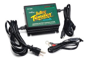 Maintain your charge over the winter with a maintenance charger like the Battery Tender.